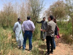 the experimental farms of Oasis Agriculture Group in Moshia and Rashda