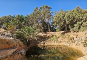 Hydrogeological and Geological Survey