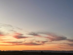 Interviews from 5th to 6th May - Dakhla Survey Report (May 2026)