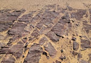 Hydrogeological and Geological Survey