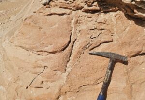 Hydrogeological and Geological Survey