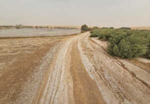 Hydrogeological and Geological Survey