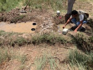 Farmland Maintenance