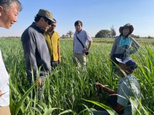 Farmland Maintenance