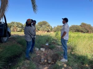 Farmland Maintenance (Dakhla) - Dakhla Survey Report (Aug 2026)