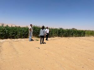 Visit to New Valley University (Kharga, Aug 22)